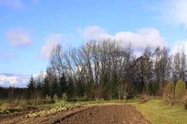Letonya 'da sonbahar manzarası