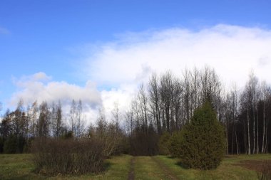 Letonya 'da sonbahar manzarası
