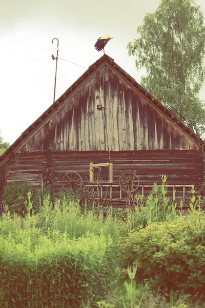 Білий лелека на даху будівлі — стокове фото