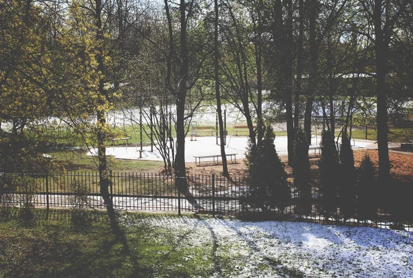 Green grass and snow in spring day