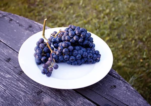户外白盘上的一捆蓝葡萄酒葡萄 — 图库照片