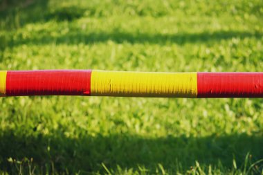 a closeup shot of a hose on a green lawn 
