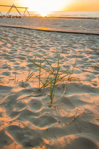 春天日落时波罗的海温暖的阳光. 拉脱维亚Jurmala的沙滩，东欧. — 图库照片