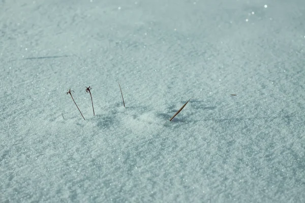 雪原と冬の背景 — ストック写真