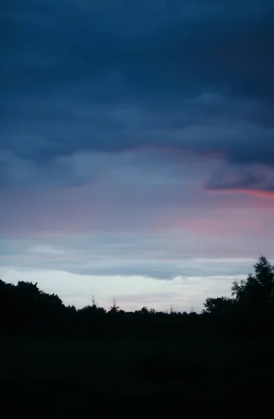 Pôr Sol Verão Campo — Fotografia de Stock