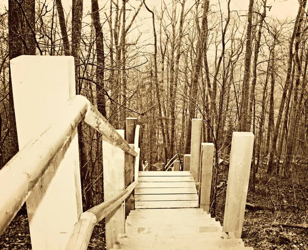 Parktaki Tahta Merdivenlerin Sepya Resmi — Stok fotoğraf