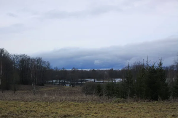 Höstlandskap Med Skog Och Sjö Östeuropa — Stockfoto