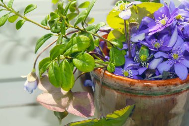 Bir yaz günü bahçedeki masada çiçek açan çiçeklerin yakın plan çekimi.