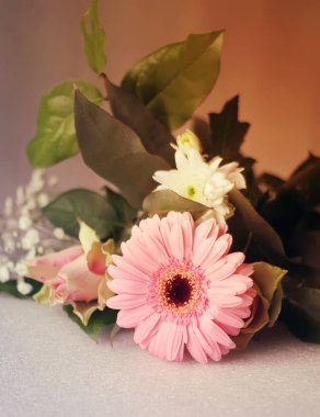 Güzel Gerbera çiçek süslemesi
