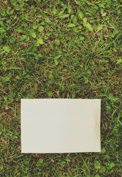 Sac en papier avec herbes sèches — Photo