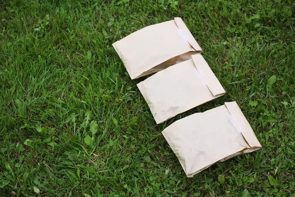 Sacos de papel com ervas secas — Fotografia de Stock
