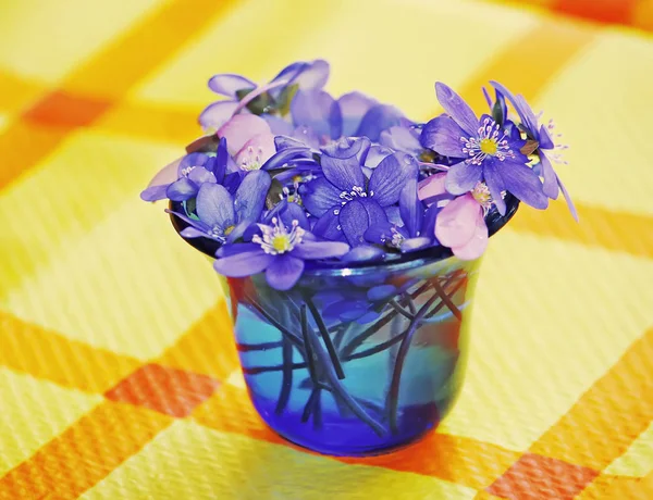beautiful bouquet of flowers in a vase on a blue background