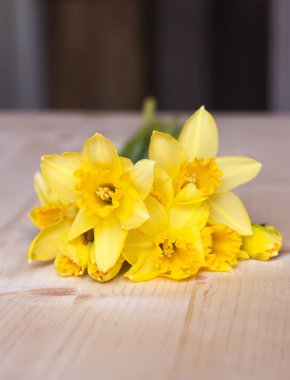 Beautiful bouquet of yellow narcissus flowers. clipart