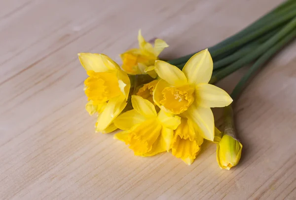 美丽的黄色水仙花花束. — 图库照片