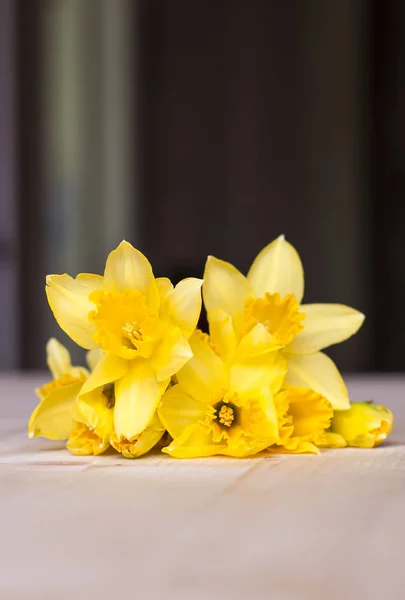 Beau bouquet de fleurs narcisses jaunes . — Photo