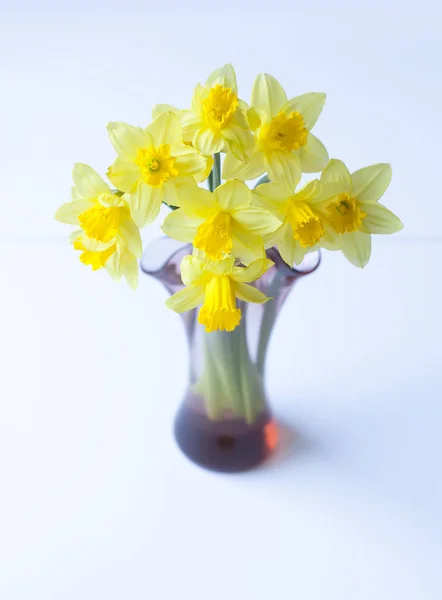 Piękny bukiet wiosennych żółtych kwiatów narcyza w szklanym wazonie. — Zdjęcie stockowe