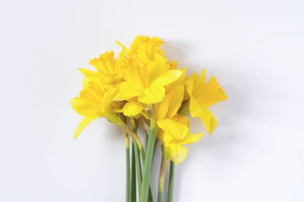 黄色のナルシス花花束 — ストック写真