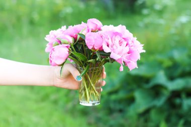 Bir buket pembe, taze, şakayık çiçeğini tutan el..