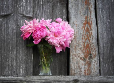 Şakayık çiçekleri.