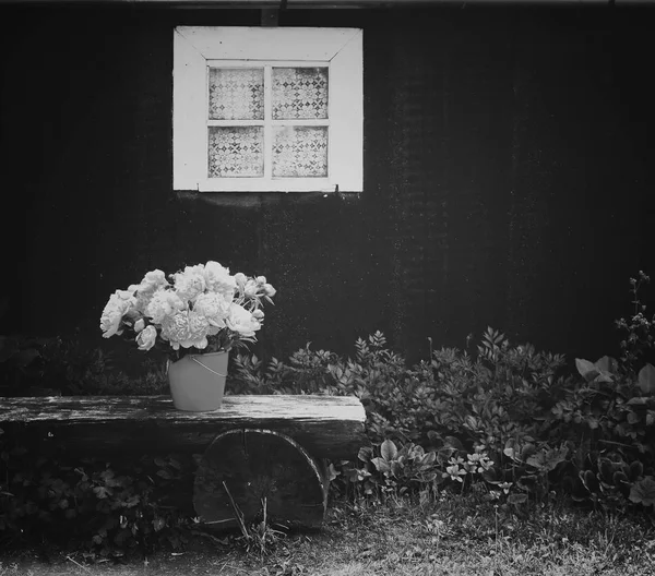 Bouquet de fleurs de pivoine — Photo