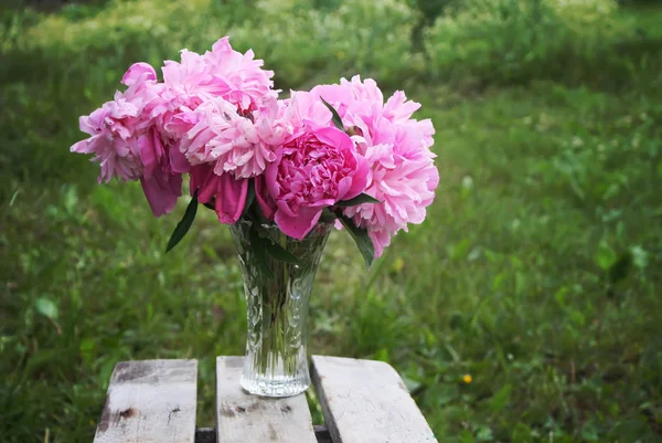 Bouquet of peony flowers — Stock Photo, Image