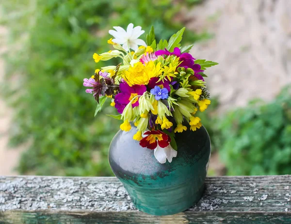 जांभळा प्रिम्युला फुले — स्टॉक फोटो, इमेज