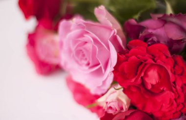 Güzel bir buket pembe ve kırmızı gül çiçeği