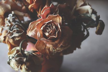 kurutulmuş çiçek dekorasyonu