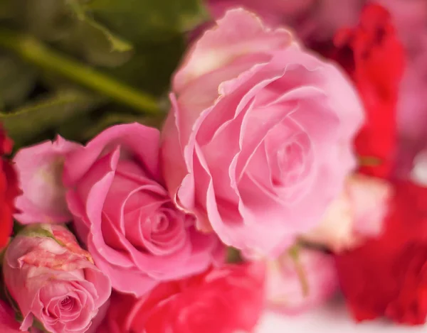 Schöner Strauß rosa und roter Rosenblüten — Stockfoto