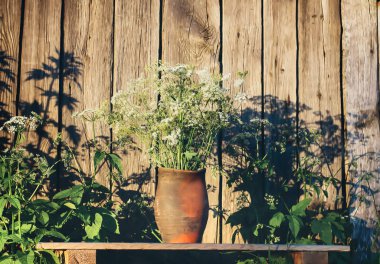 Yıpranmış ahşap arka planda eski kil çömlekte yabani çiçekler..