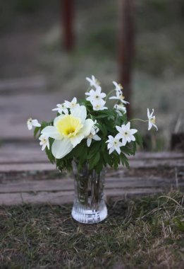 Narcissus flowers in a bouquet. clipart