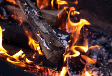 Şöminede yakacak odun, yakın plan.