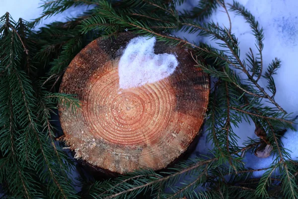 Corazón de nieve en tronco de árbol y ramas verdes de abeto en el parque de otoño — Foto de Stock