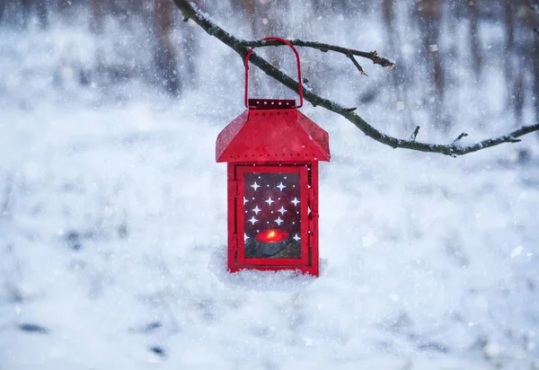 Lanterna rossa appesa al ramo dell'albero. Mattina invernale nevosa nel parco. — Foto Stock