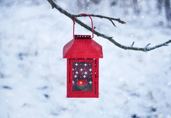 Lanterna rossa appesa al ramo dell'albero. Mattina invernale nevosa nel parco. — Foto Stock