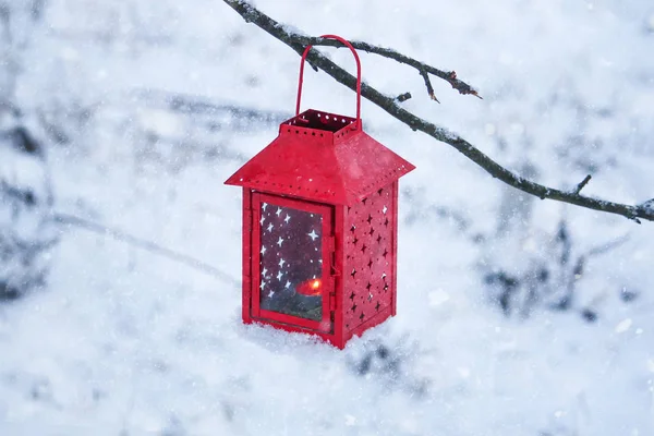 Rode lantaarn hangt aan de boomtak. Sneeuwochtend in het park. — Stockfoto