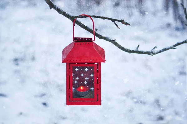 Lanterna rossa appesa al ramo dell'albero. Mattina invernale nevosa nel parco. — Foto Stock