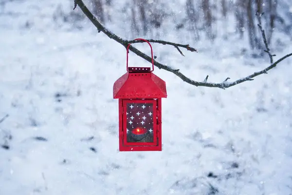 Rode lantaarn hangt aan de boomtak. Sneeuwochtend in het park. — Stockfoto