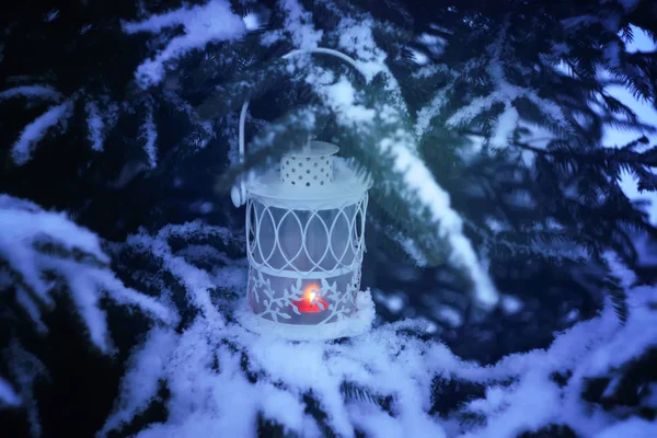 Lanterna di Natale decorativa con candela accesa appesa al ramo d'abete innevato in un parco invernale. Nuovo anno carta festiva, poster, cartolina di design . — Foto Stock