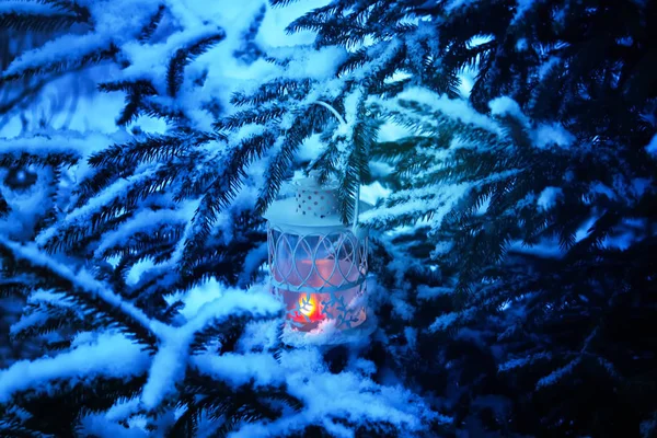 Lanterna di Natale decorativa con candela accesa appesa al ramo d'abete innevato in un parco invernale. Nuovo anno carta festiva, poster, cartolina di design . — Foto Stock