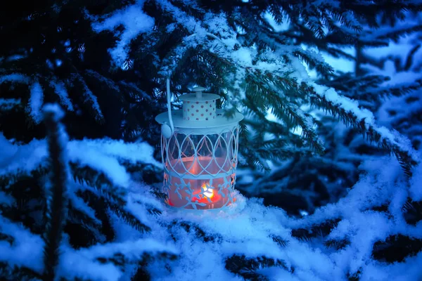 Dekorative Weihnachtslaterne mit brennender Kerze, die an einem schneebedeckten Tannenzweig in einem Winterpark hängt. Neujahrskarte, Plakat, Postkartendesign. — Stockfoto
