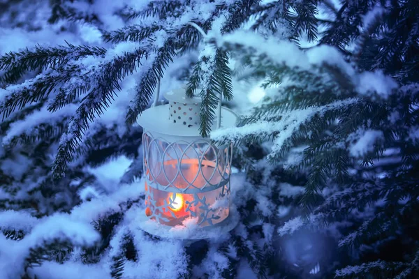 Linterna decorativa de Navidad con vela encendida colgando de la rama de primer árbol cubierta de nieve en un parque de invierno. Año nuevo tarjeta festiva, póster, diseño de tarjetas postales . — Foto de Stock