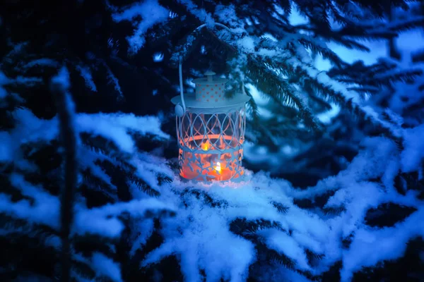 Decoratieve kerstlantaarn met brandende kaars opknoping op besneeuwde sparren tak in een winterpark. Nieuwjaar feestelijke kaart, poster, ansichtkaart ontwerp. — Stockfoto