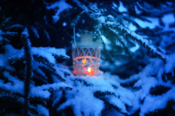 Linterna decorativa de Navidad con vela encendida colgando de la rama de primer árbol cubierta de nieve en un parque de invierno. Año nuevo tarjeta festiva, póster, diseño de tarjetas postales . —  Fotos de Stock