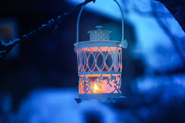 Lanterna decorativa de Natal com vela acesa pendurada no galho de árvore de fogo coberto de neve em um parque de inverno. Ano Novo cartão festivo, cartaz, design de cartão postal . — Fotografia de Stock