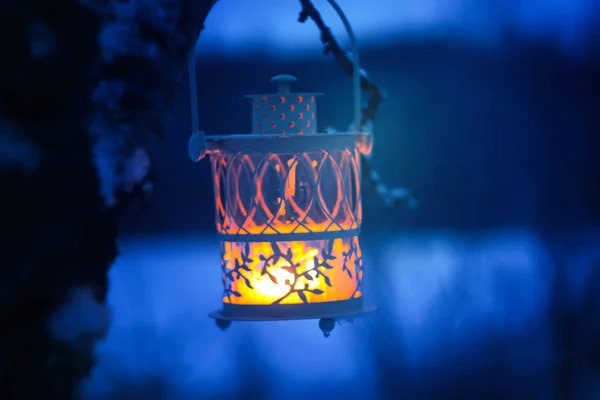 Lanterna decorativa de Natal com vela acesa pendurada no galho de árvore de fogo coberto de neve em um parque de inverno. Ano Novo cartão festivo, cartaz, design de cartão postal . — Fotografia de Stock