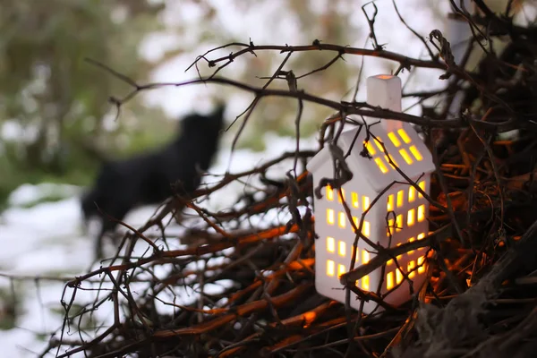 Dekoracyjna latarnia z płonącą świecą w jesiennym parku wieczorem. — Zdjęcie stockowe