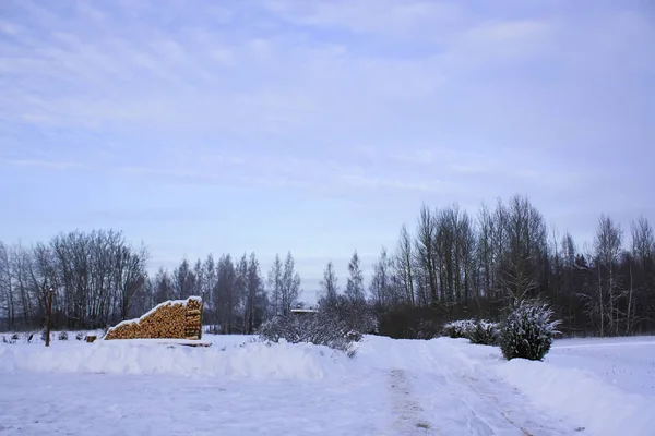 Kırsal kesimdeki kış doğasının ayrıntıları. Çayırları ve ağaçları olan manzara. — Stok fotoğraf