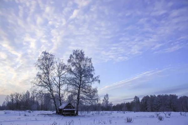 Kırsal kesimdeki kış doğasının ayrıntıları. Çayırları ve ağaçları olan manzara. — Stok fotoğraf