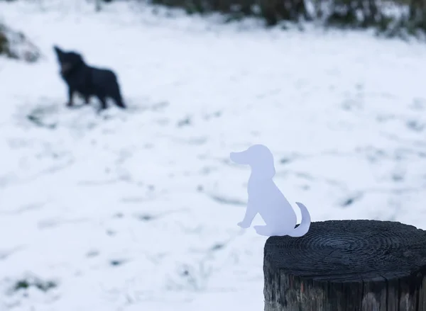 Feliz ano novo 2018 do cão . — Fotografia de Stock